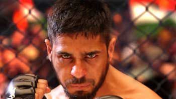 Box Office Collection of 'Brothers'