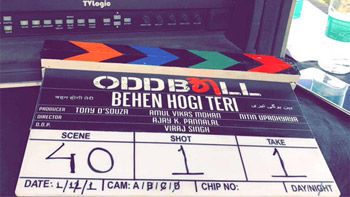 Rajkummar Rao, Shruti Haasan starrer Behen Hogi Teri starts rolling