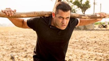 Sultan Week 3 Box-office; nears 300 crore mark!