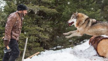 ‘Tiger Zinda Hai’ enters its third week with a drop in collections at the box office!