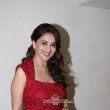 Madhuri Dixit & Huma Qureshi promoting film 'Dedh Ishqiya'