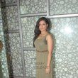 Richa Chadda, Huma Qureshi, Nawazuddin Siddiqui, Anurag Kashyap, Vineet Singh at the unveiling of 'SHORTS'
