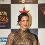 Stars at the BIG STAR Entertainment Awards