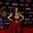 Bollywood and Music Industry Celebs at the 'Global Indian Music Awards' 2015