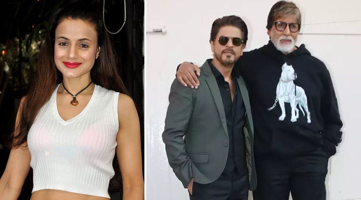 Gadar 2: Ameesha Patel Reveals SHOCKING SECRETS; About SRK's Stardom And Big B's Effect On Her Career! (Details Inside)