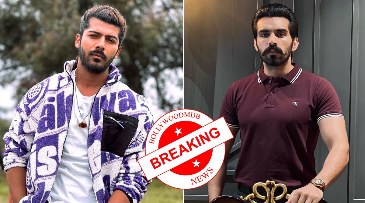 Breaking! Udaariyaan Leap: Not Sheezan Khan But Anuraj Chahal To Play Lead