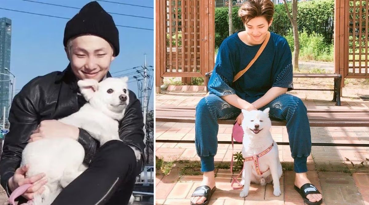 Oh No! BTS ARMY Grieves As RM Opens Up About The LOSS Of His Beloved PET Moni! (View Tweets)