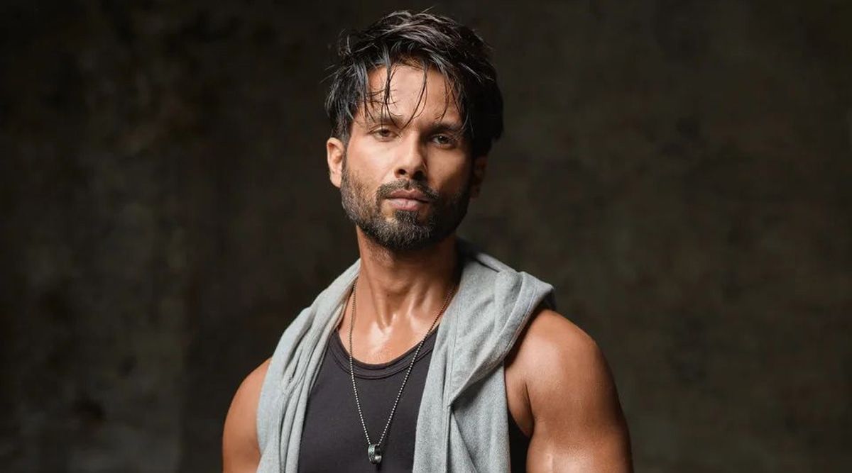 From Rockstar to Raanjhanaa, 5 blockbusters rejected by Shahid Kapoor