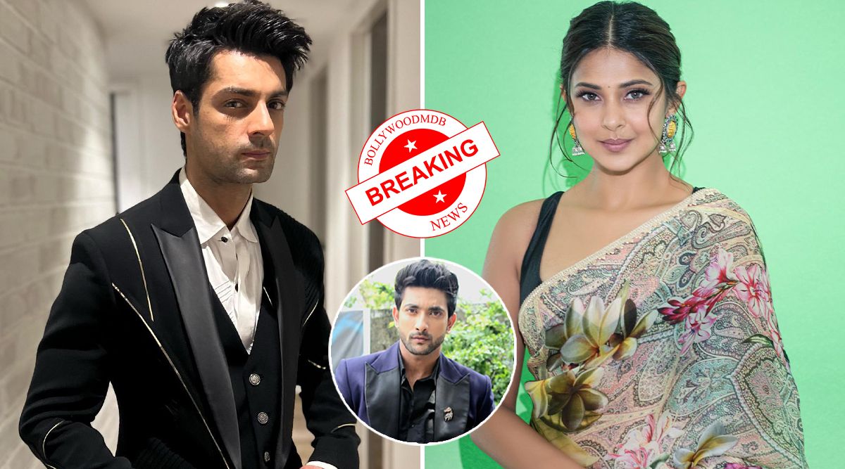 Breaking! Not Fahmaan Khan But Karan Wahi To Be Seen Opposite Jennifer Winget in Sony’s New Project; Jenny- Karan to Reunite After ‘Dil Mill Gayee’