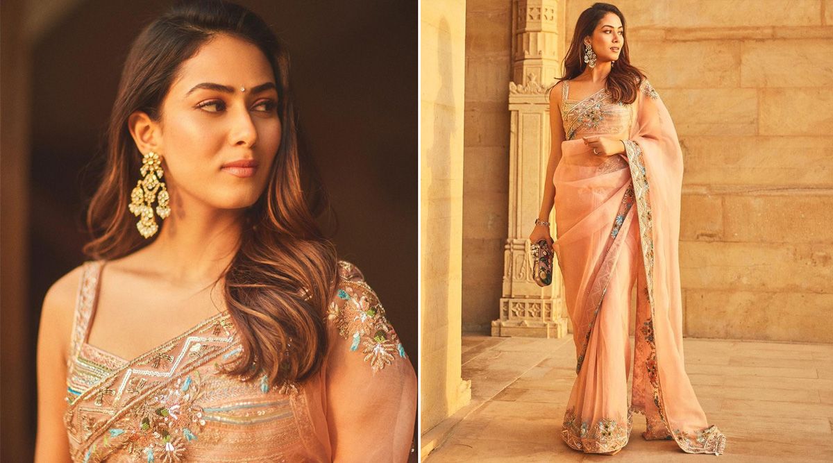 Mira Rajput stuns everyone by sharing her Manish Malhotra-designed perfect pink saree look; SEE PICS!