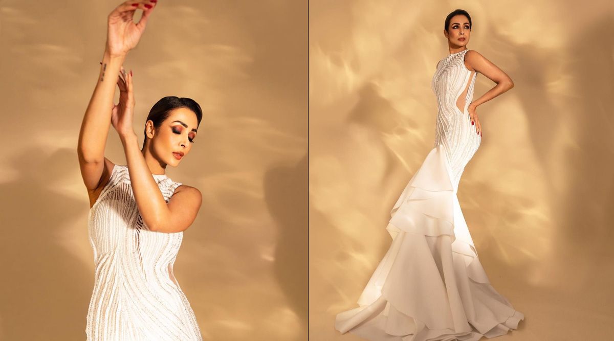 Malaika Arora's breathtaking look in a dramatic white gown making head turns; SEE PICS!