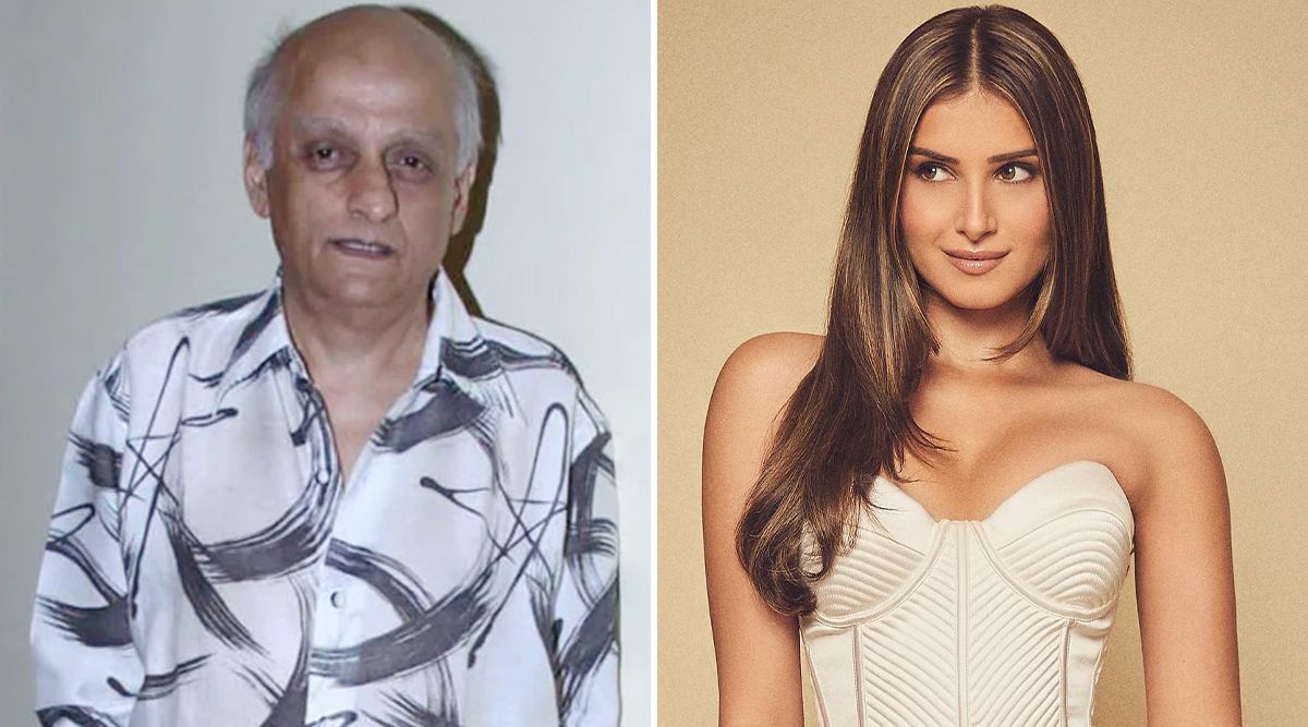 "Absolute Nonsense," Mukesh Bhatt On Casting Tara Sutaria In Aashiqui 3! 