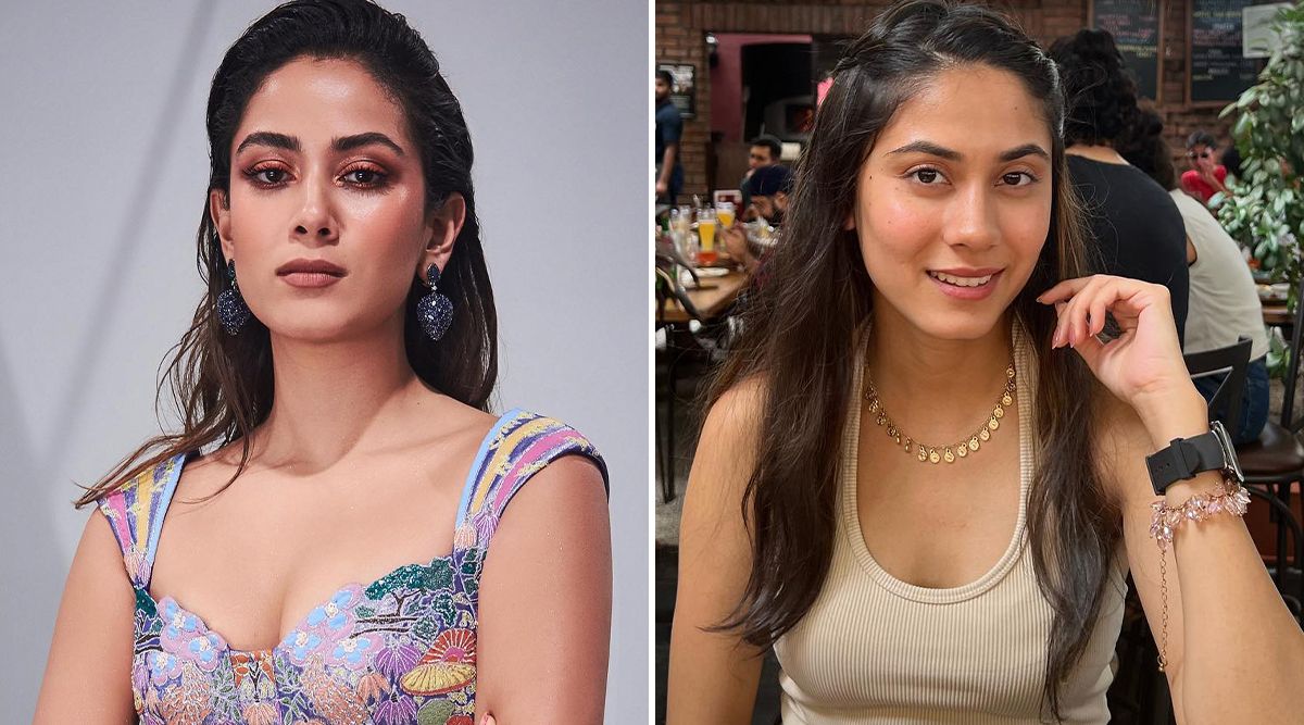 OMG! Mira Rajput’s DOPPLEGANGER Trends On The Internet; Netizens Ask Where Is Shahid Kapoor! (Watch Video)