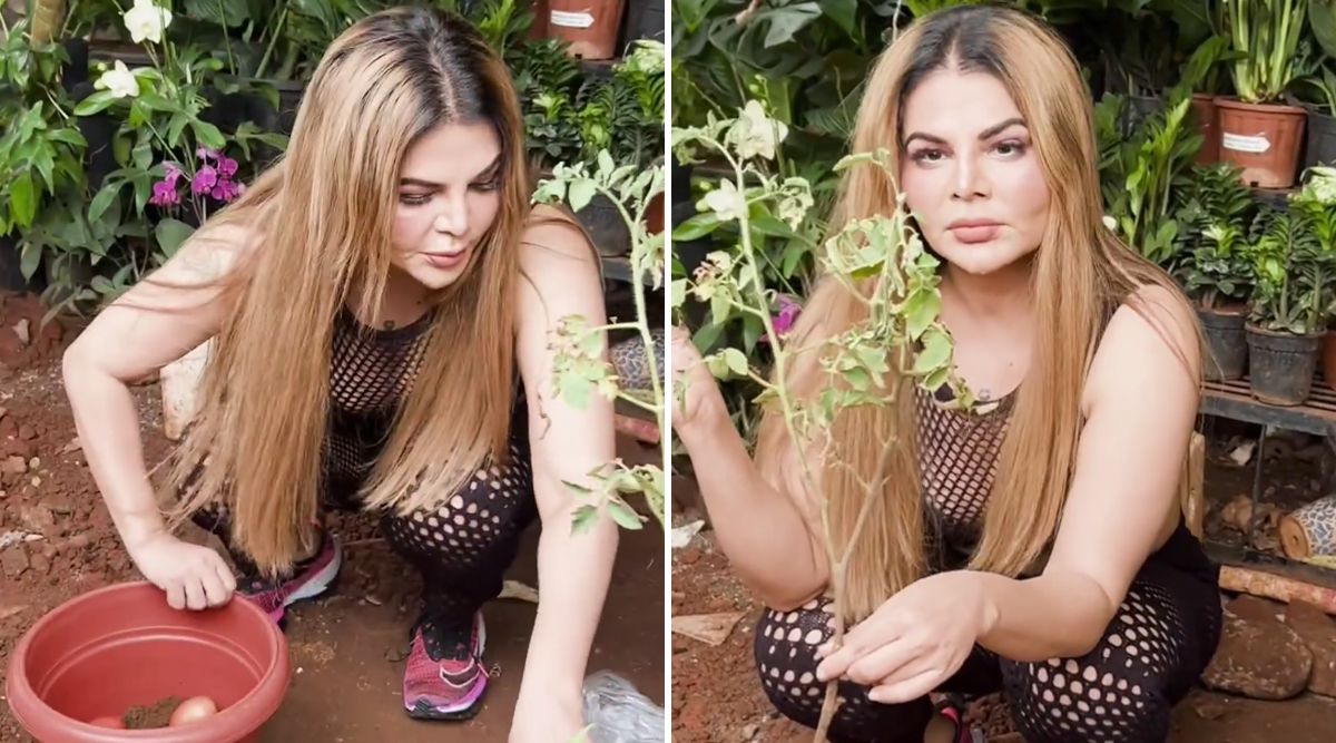 Rakhi Sawant's Tomato Planting Technique Leaves Netizens Fuming With Rage For WASTING It In Times Of Soaring Prices! (Watch Video)