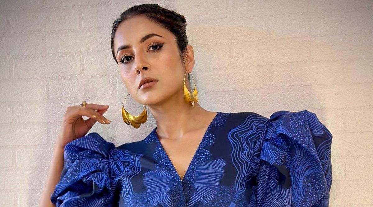 Happy Birthday, Shehnaaz Gill! The Punjabi girl who ruled Bigg Boss 13 is now set to mark her big Bollywood debut!