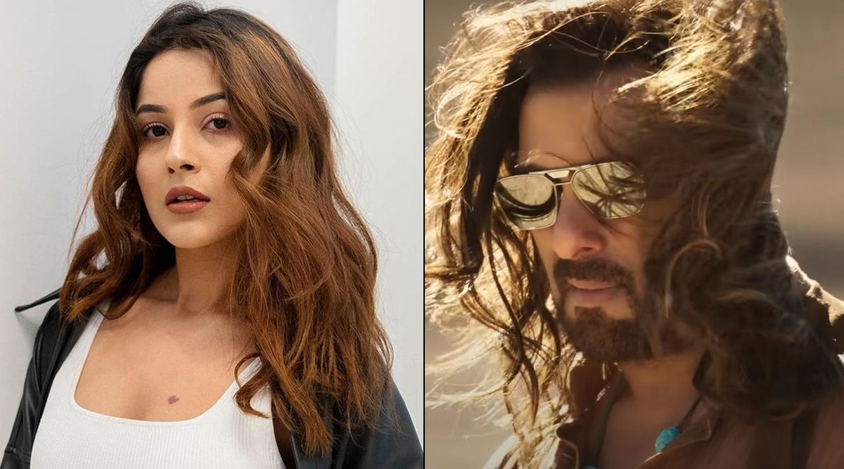 Bigg Boss 13 Fame Shehnaaz Gill to play Salman Khan's sister's role in Kisi Ka Bhai Kisi Ki Jaan? Click here to know