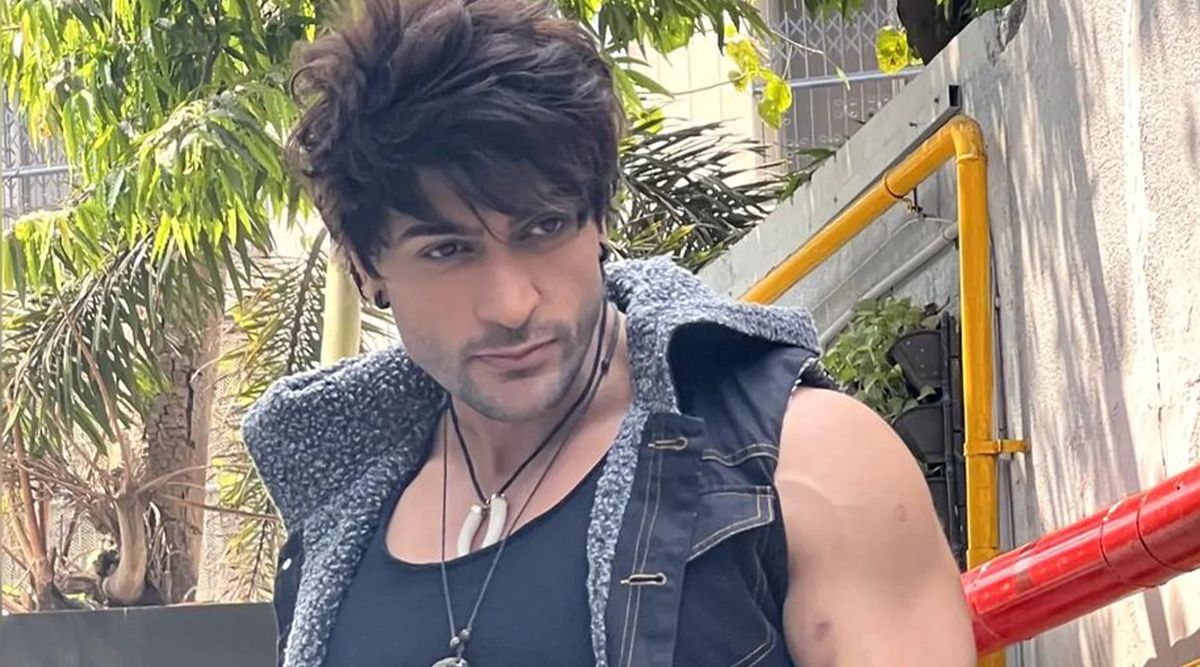 Bigg Boss Fame Shalin Bhanot CONFIRMS Bagging A Huge OTT Project, Promising A Never-Seen Avatar