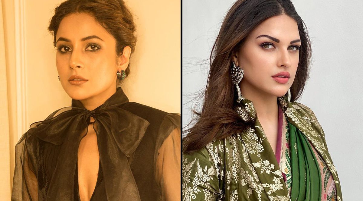 Remember ex-Bigg Boss contestants Shehnaaz Gill and Himanshi Khurana's never-ending rift?