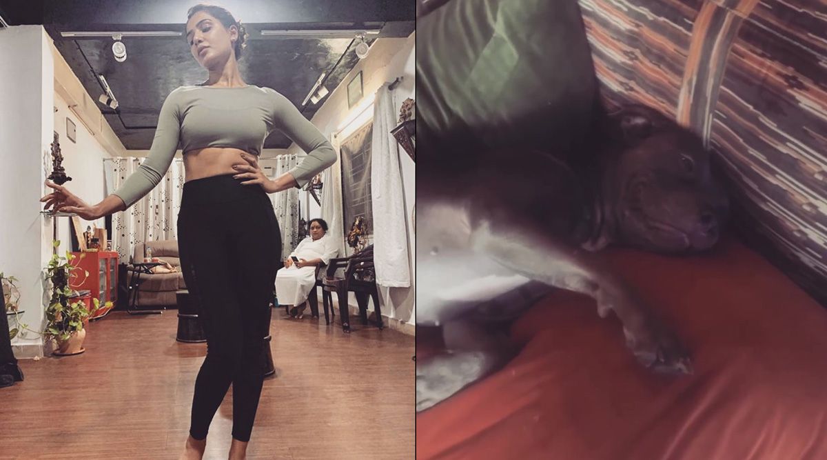 Samantha Ruth Prabhu shares post while working out, pet dog Sasha video clip; See here More!