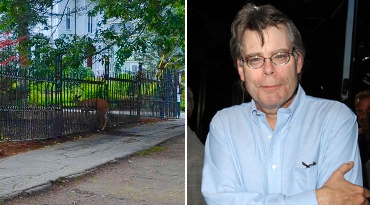 Deer Gets Impaled At The Fence Of ‘The Shining’ Author Stephen King’s Gothic House