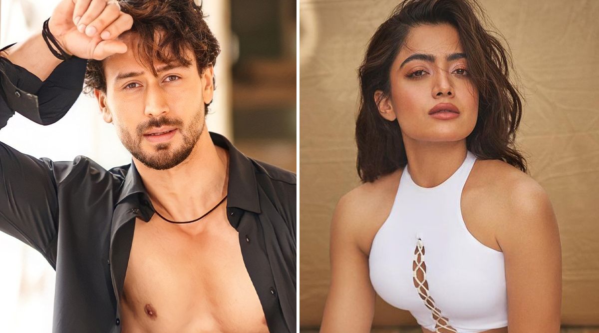 Tiger Shroff and Rashmika Mandanna starrer Screw Dheela shelved? Makers reveal the truth