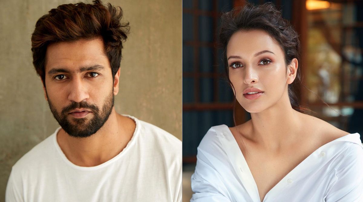 Vicky Kaushal and Tripti Dimri's next starts rolling?