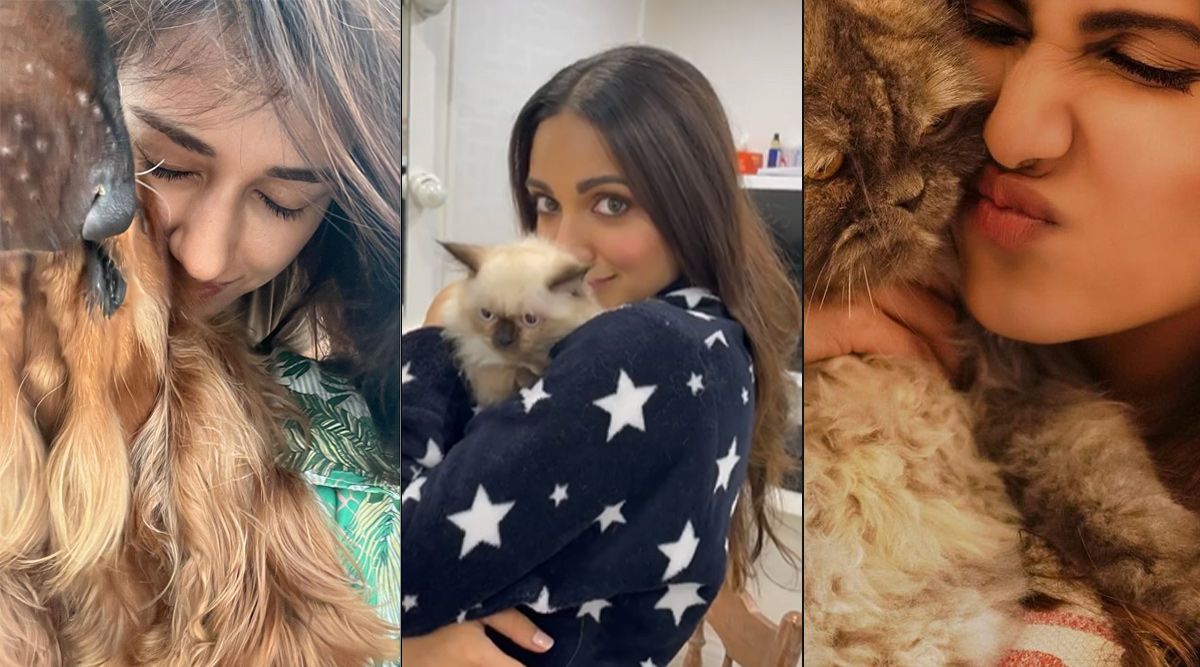 Disha Patani, Kiara Advani and Vaani Kapoor show some pet love