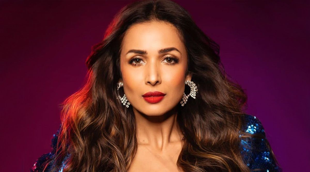 Malaika Arora resumes work post car accident