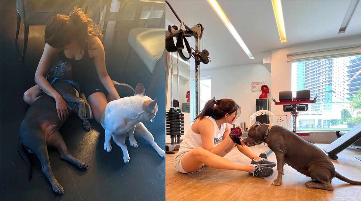 Samantha Prabhu's unmissable reply to troll saying 'she will die alone with cats and dogs' is winning hearts