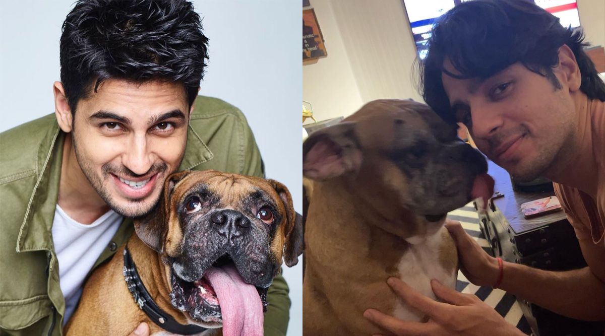 Sidharth Malhotra pens a heartfelt note as his dog Oscar passes away