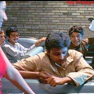 Green Card Fever Still