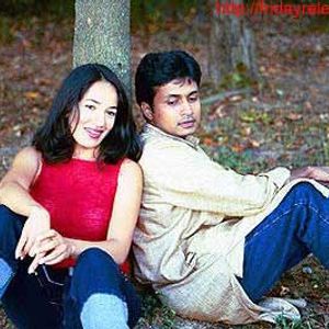 Green Card Fever Still