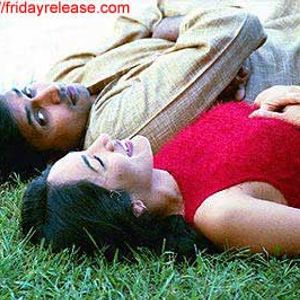 Green Card Fever Still