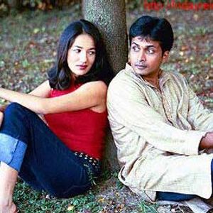 Green Card Fever Still