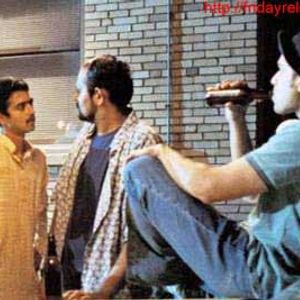 Green Card Fever Still