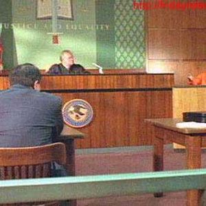 Green Card Fever Still