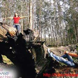 Uuf Kya Jaadoo Mohabbat Hai..! Still