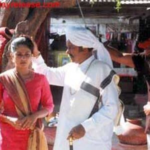 The White Land Still