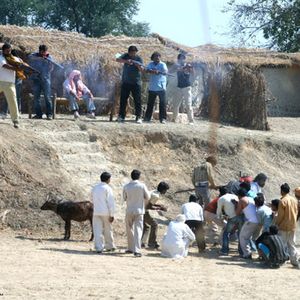 Beehad - The Ravines Still