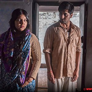 Dum Laga Ke Haisha Still