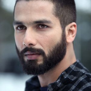 Haider Still