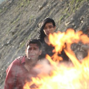 I'M Not A Terrorist Still