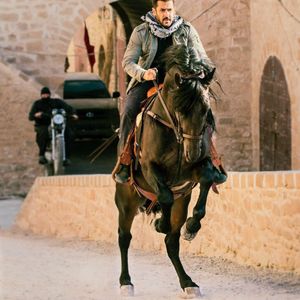 Tiger Zinda Hai Still