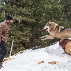 Tiger Zinda Hai Still