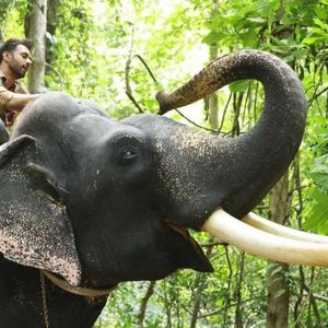 Haathi Mere Saathi Still