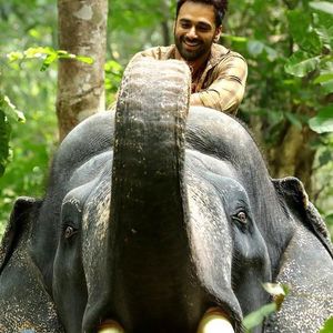 Haathi Mere Saathi Still