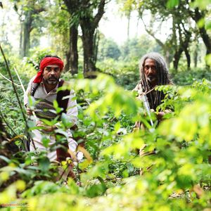 Sherdil: The Pilibhit Saga Still