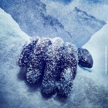 shivaay 2016 download shivaay 2016 download