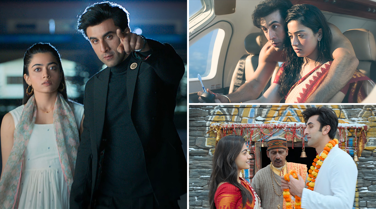 Animal New Song OUT! Watch As Rashmika Mandanna And Ranbir Kapoor Share A Passionate Kiss On Air! (Watch Video)