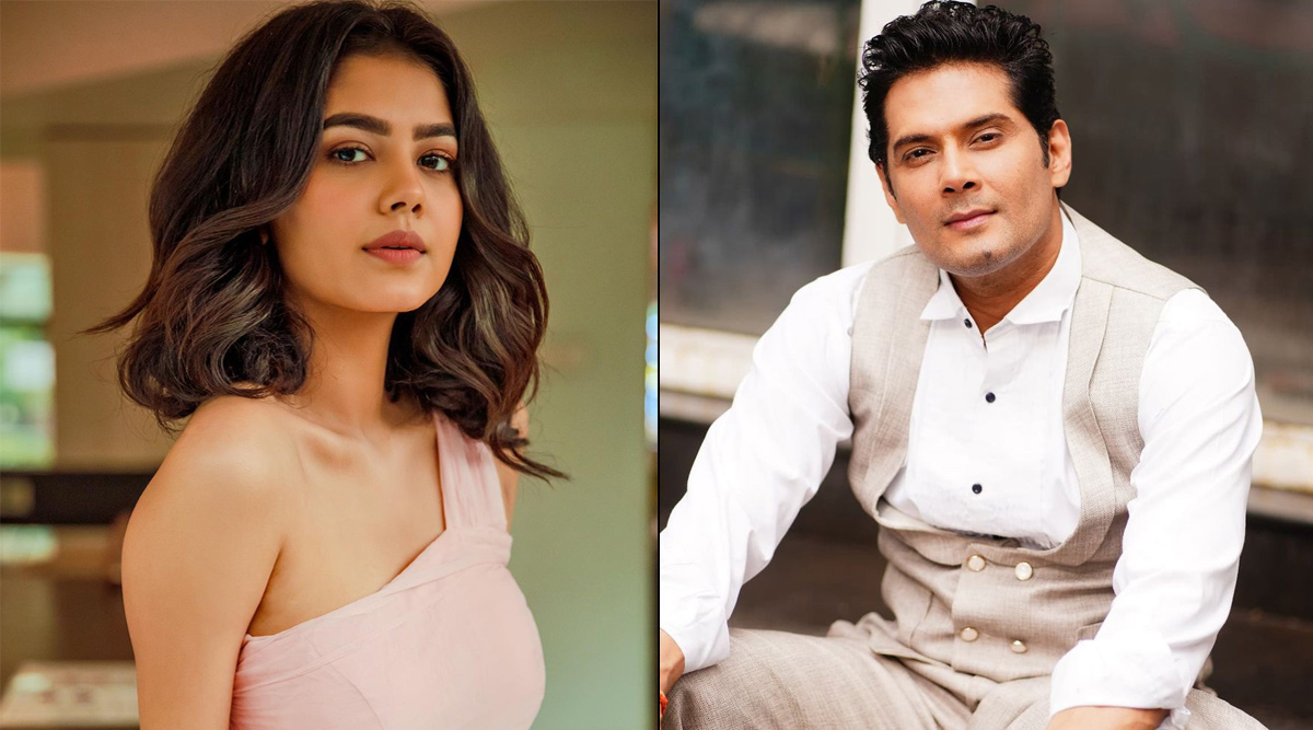 Priyal Mahajan and Amar Upadhyay react to rumours of Molkki going off-air